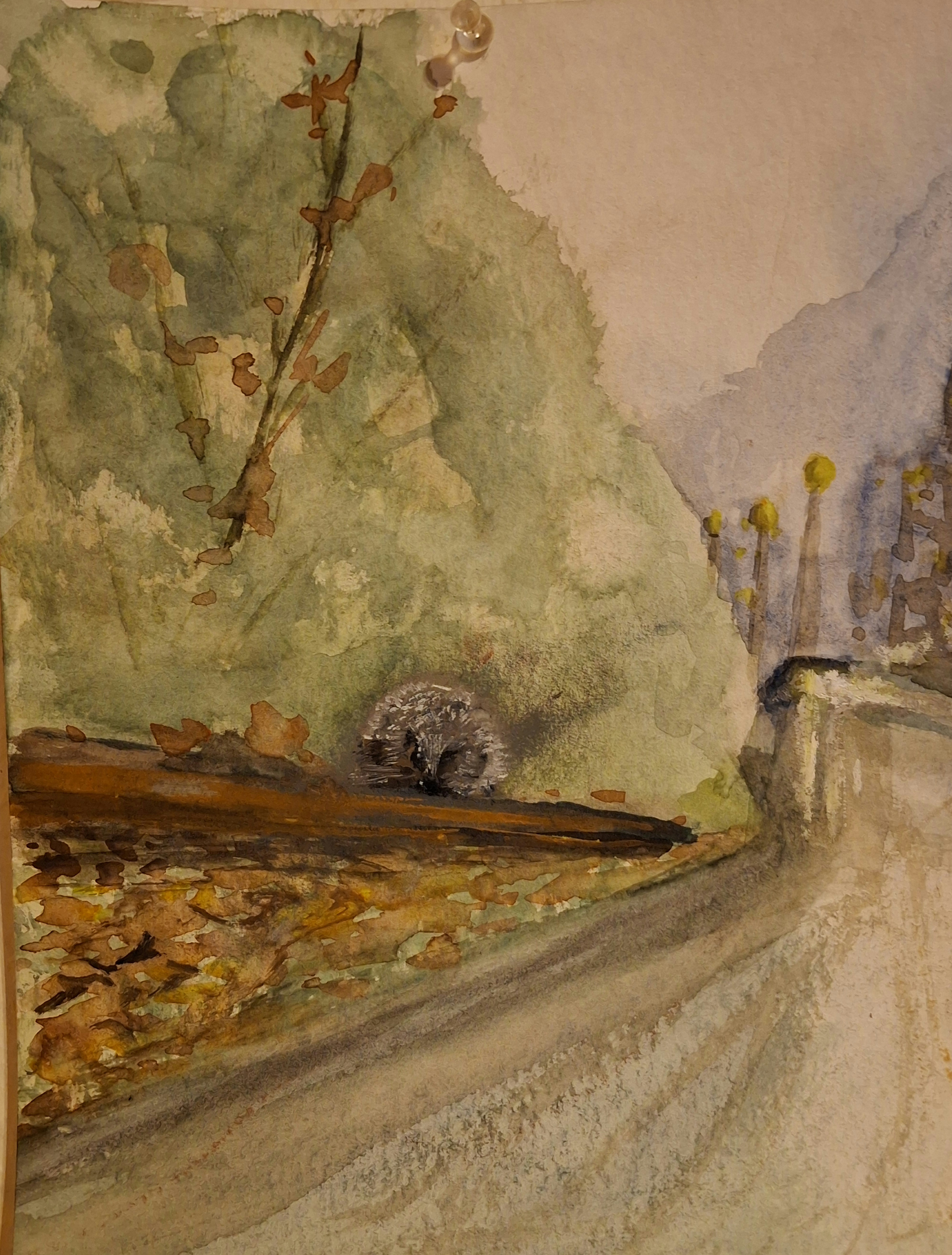 igel